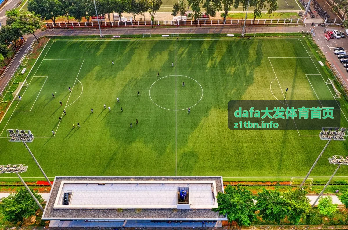 玩法攻略 dafa大发体育首页